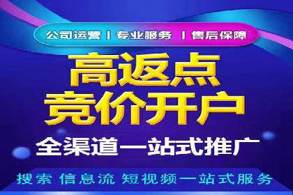 百度竞价SEM策略解析：某品牌广告成功的关键因素